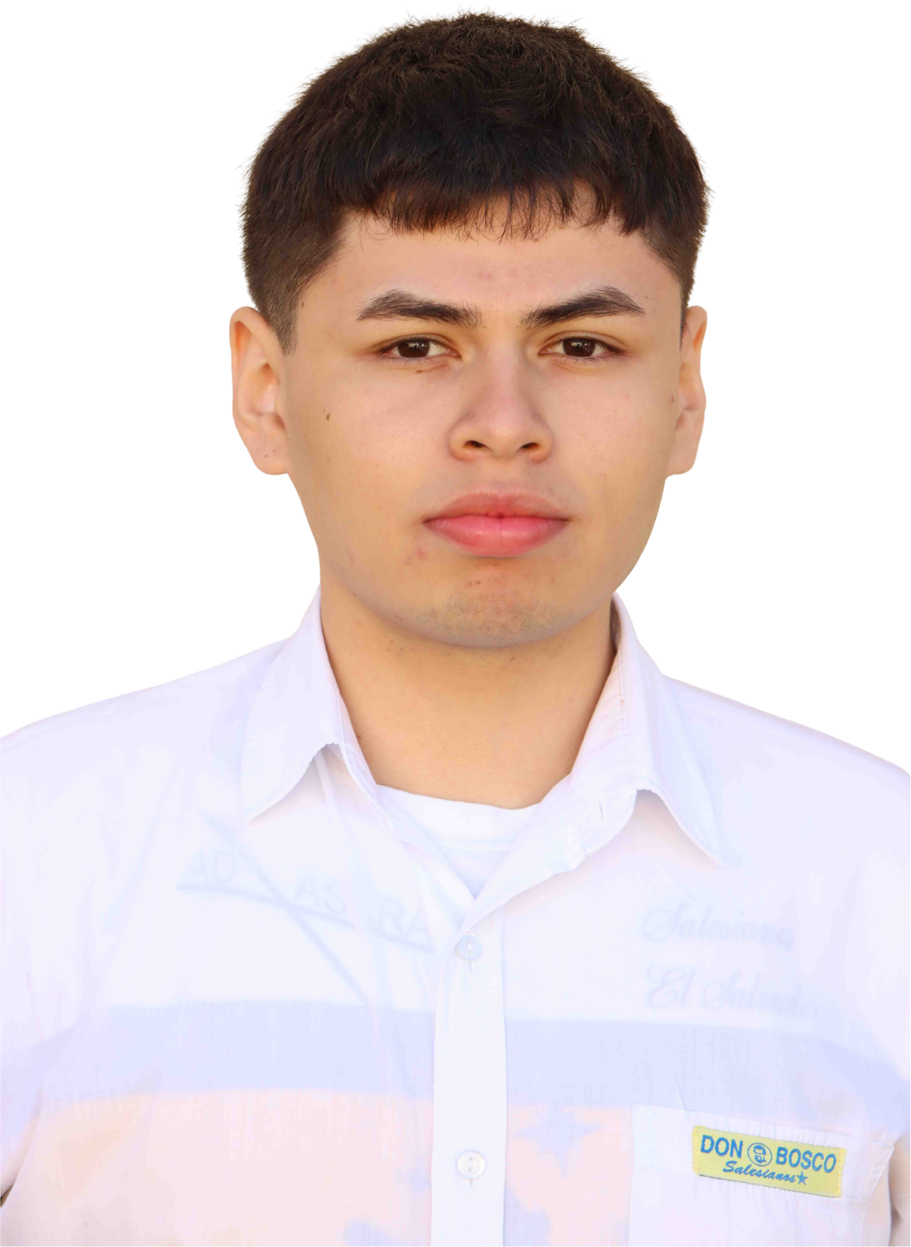 Alexander